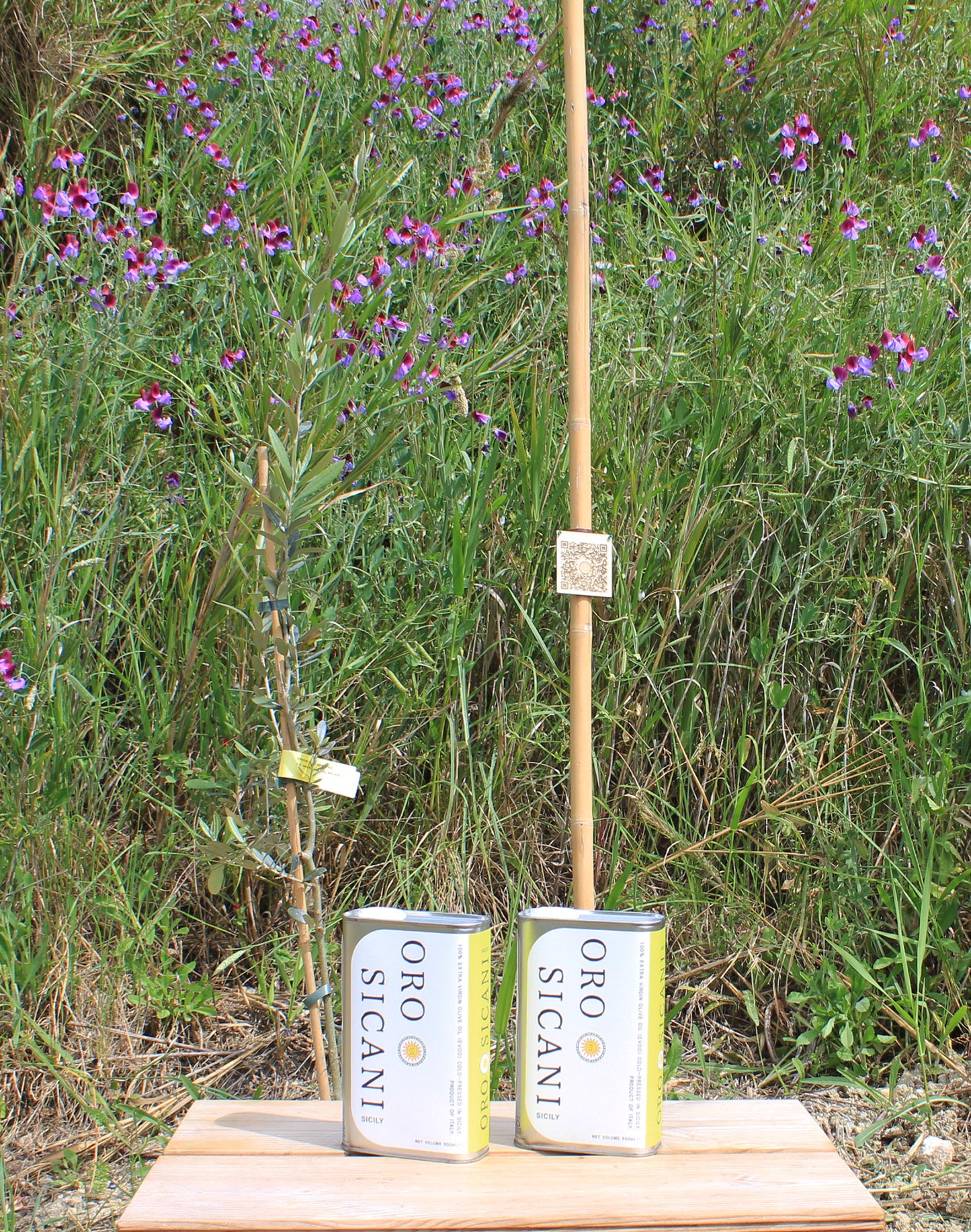 Olive Tree Membership 🌳 1 Tree Planted + Annual EVOO Delivery
