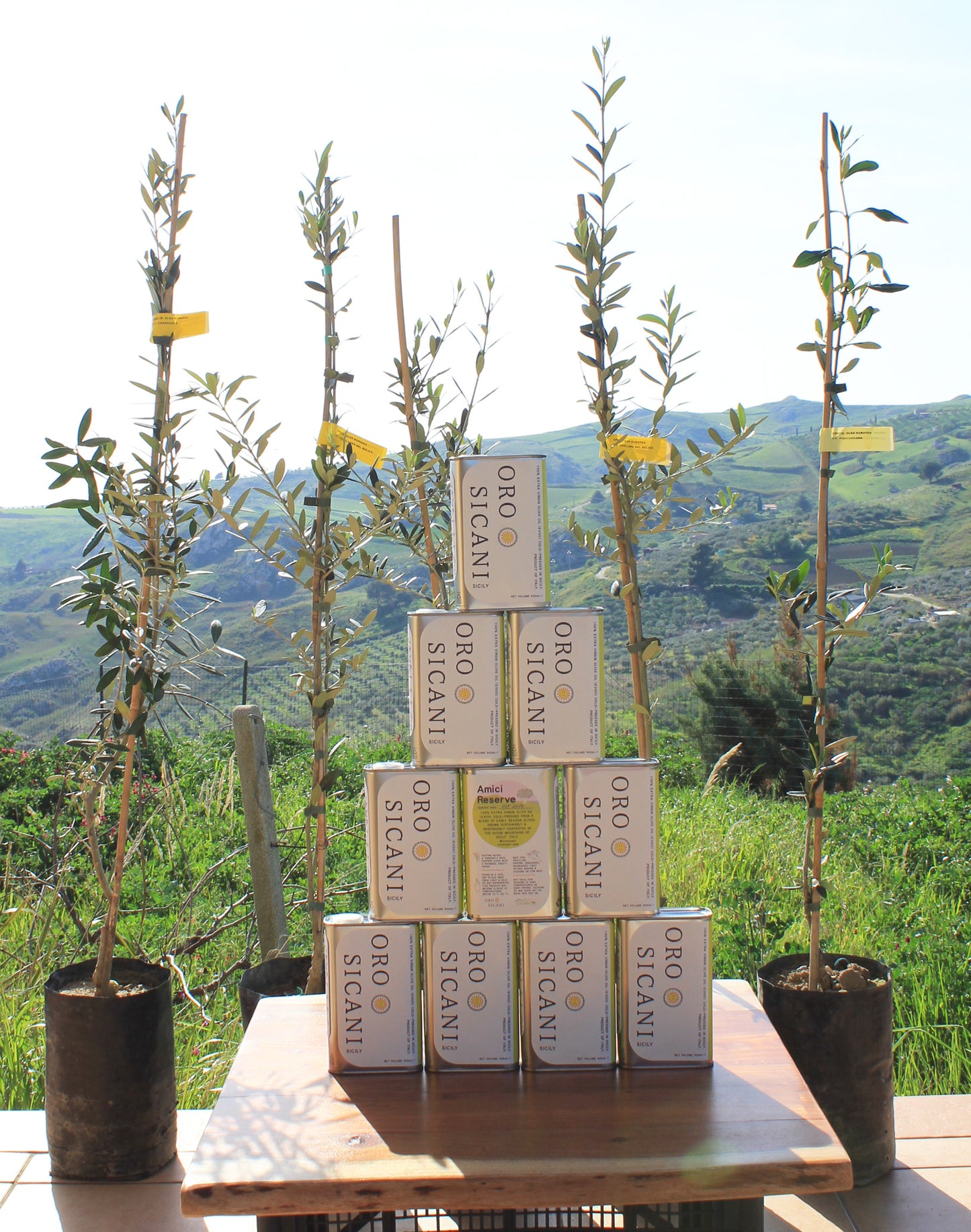 Olive Tree Membership 🌳 5 Trees Planted + Annual EVOO Delivery