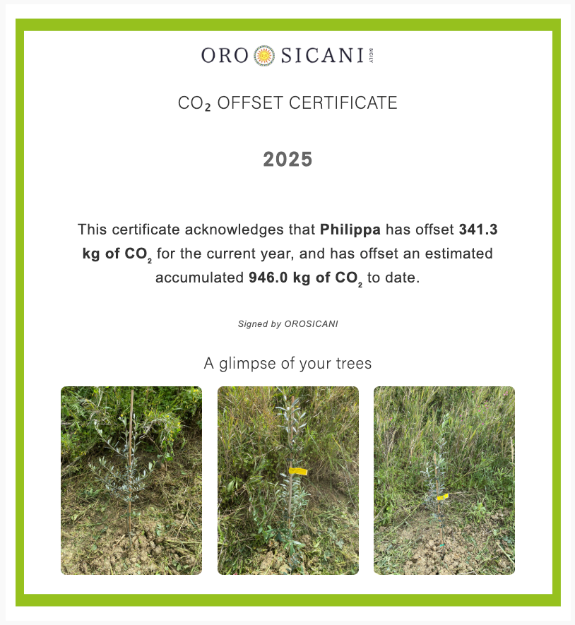 Sponsor an Olive Tree for 12 Months!