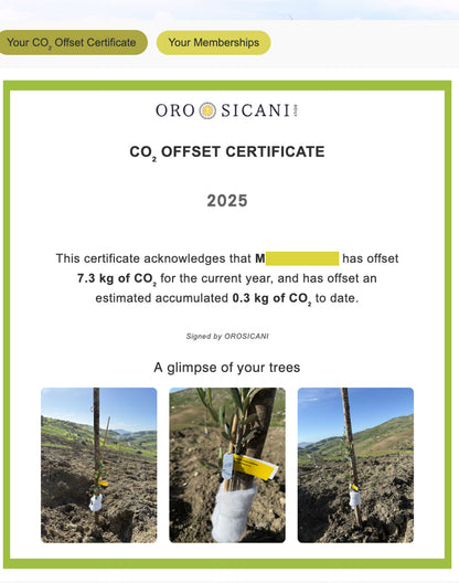 Sponsor an Olive Tree for 12 Months!