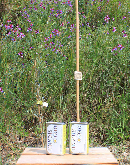 Olive Tree Membership 🌳 1 Tree Planted + Annual EVOO Delivery